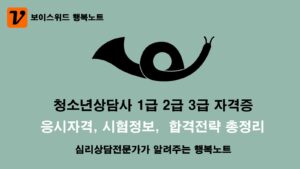 청소년상담사 국가자격증 1급 2급 3급 시험안내 및 합격전략 1 청소년상담사 자격증