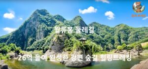 월류봉 둘레길 - 4계절 명품 강변 숲길 힐링트레킹 4 월류봉 썸네일
